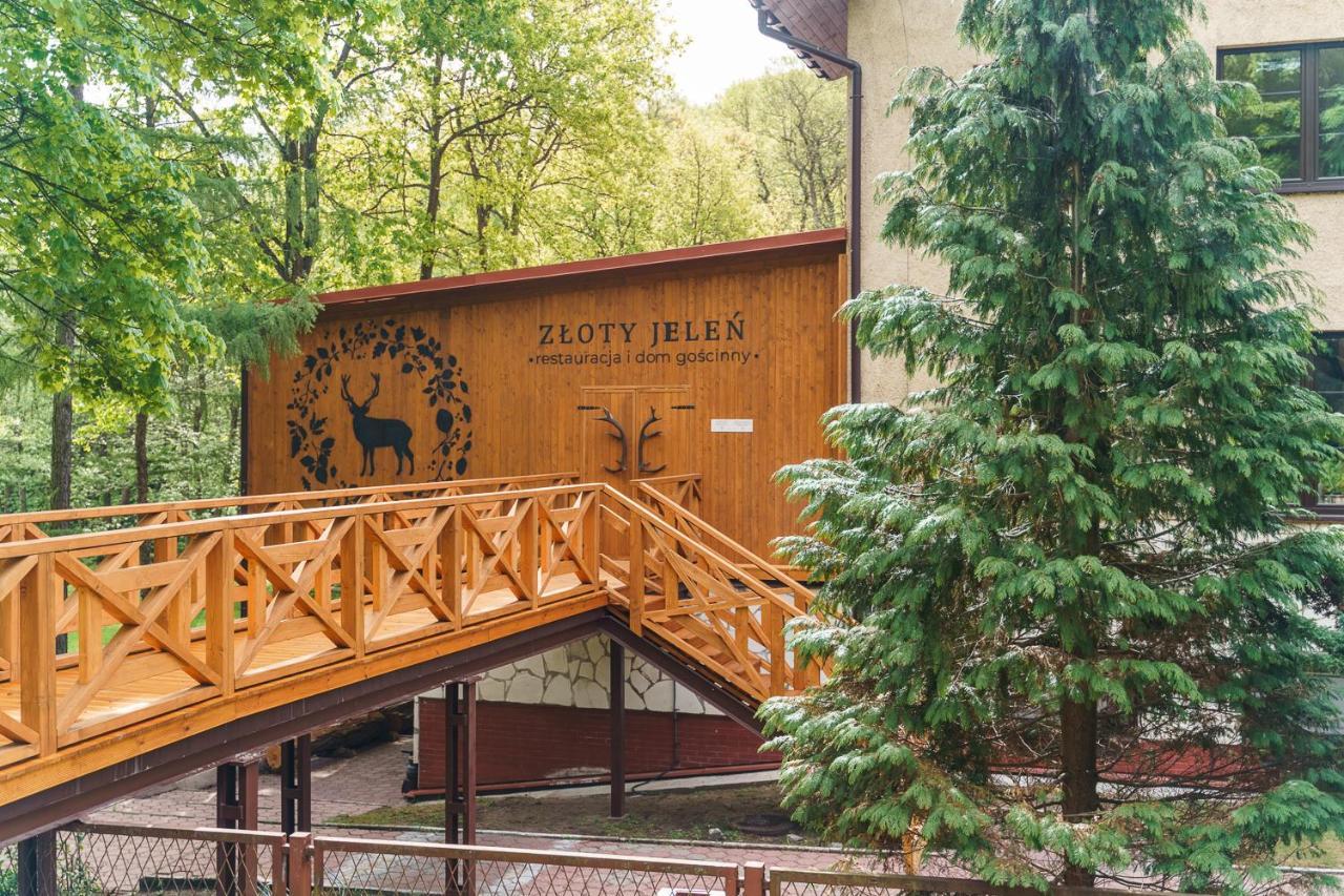 Potok Zloty Zloty Jelen - Restauracja I Dom Goscinny מראה חיצוני תמונה